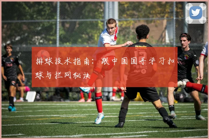 排球技术指南：跟中国国手学习扣球与拦网秘诀