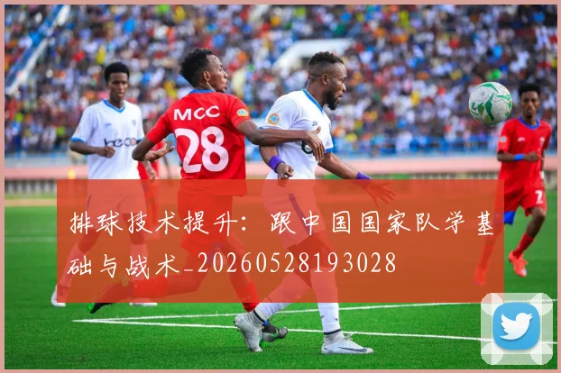 排球技术提升:跟中国国家队学基础与战术_20260528193028