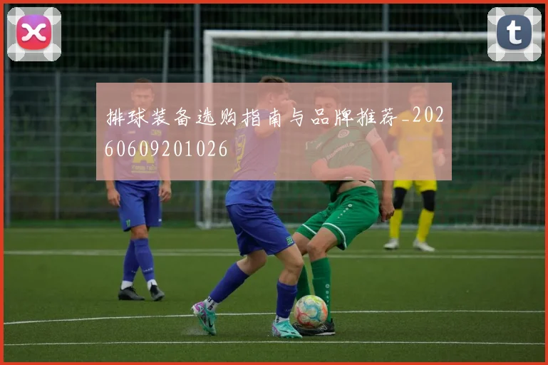 排球装备选购指南与品牌推荐_20260609201026
